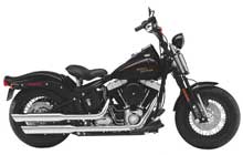 Harley-Davidson SOFTAIL CROSS BONES